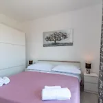 Dalmata Trogir