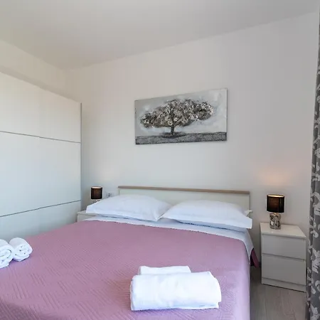 Dalmata Trogir