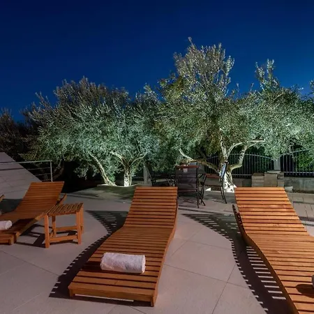 شقة Dalmata تروغير