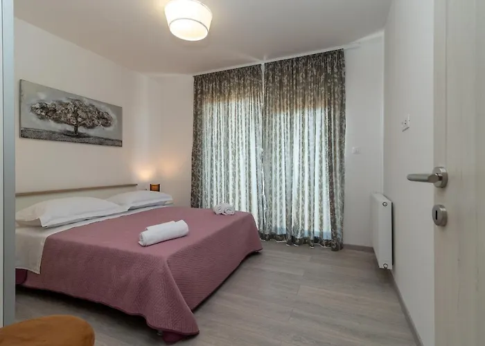 Dalmata * Trogir