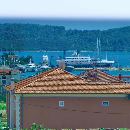 Dalmata Trogir